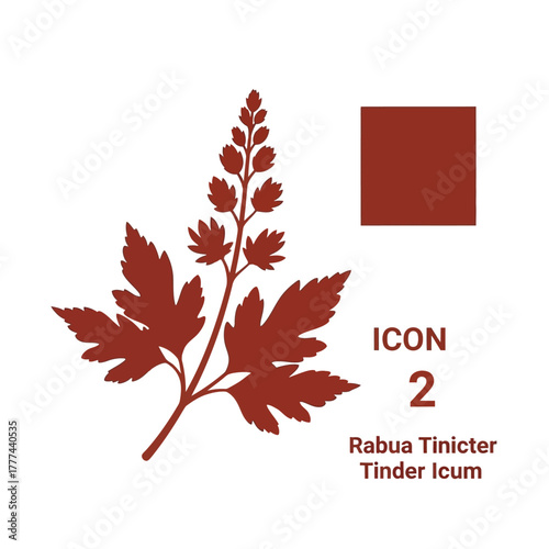 Botanical illustration of a plant with detailed leaves and a flowering stalk.