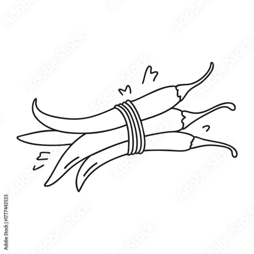 Cluster of dried chili peppers tied together with a string