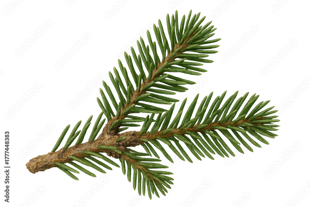 Naklejka premium Conifer branch showing green needles and evergreen foliage for christmas and nature themes on transparent background