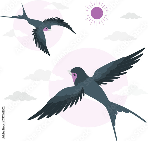 Two swallow birds flying in the sky with sun and clouds swallows flight