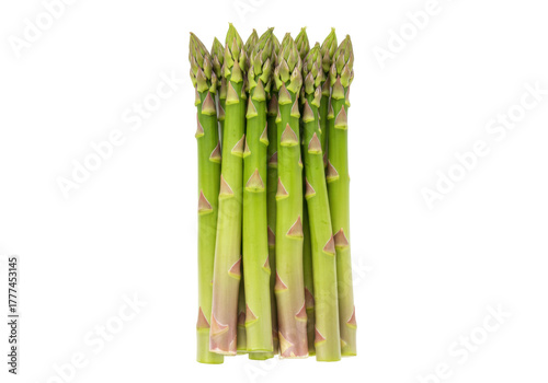 Isolated raw asparagus spears ready for cooking, delicious healthy vegetable ingredient