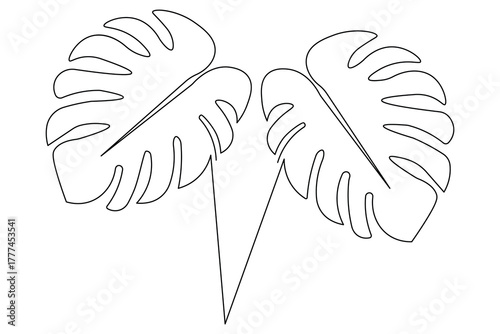Continuous one line drawing of monstera leaf minimalist outline artwork