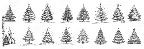 Hand-Drawn Christmas Tree Collection Vintage Pine Sketch Vector Set