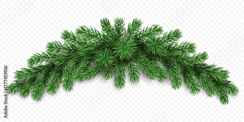 Vector realistic pine tree branches isolated on a transparent background. Holiday Christmas tree garland for winter decoration banner, poster, greeting card.