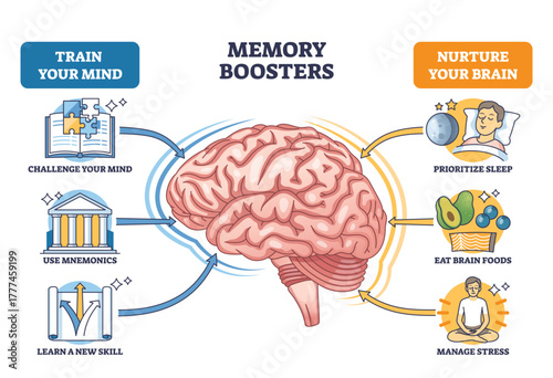 Memory boosters diagram shows a brain with arrows to sleep, brain foods, and learning tips, key objects, brain, arrows, icons. Outline diagram