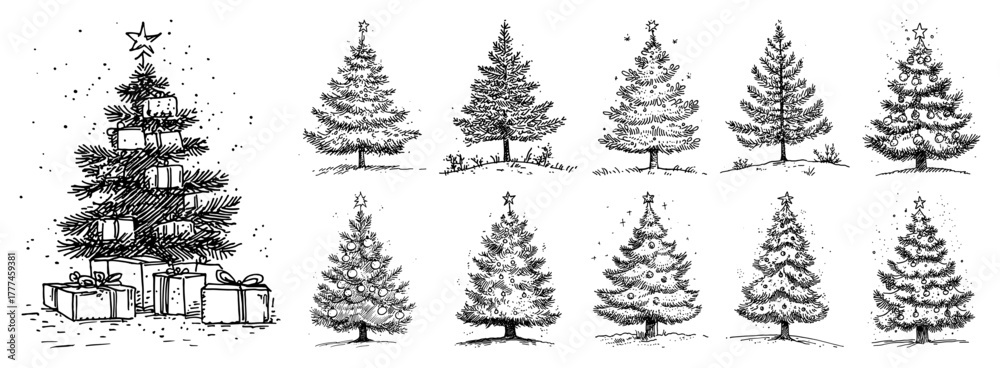 Obraz premium Decorated Christmas Trees Set Hand Drawn Fir Spruce Vector Sketch Collection