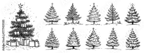 Decorated Christmas Trees Set Hand Drawn Fir Spruce Vector Sketch Collection