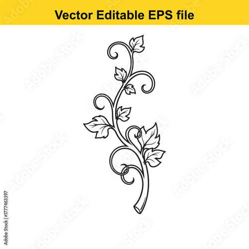 Black and white vine with leaves and curls