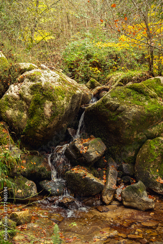 Autumn season in Route of the Waterfalls of Puente Ra, Sierra Cebollera Natural Park, Cameros, La Rioja, Spain