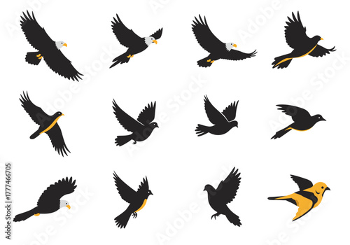 Set of Silhouette Bird Illustrations in Flight A Vector Collection