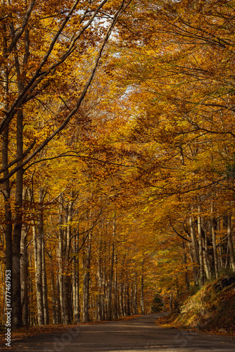 Autumn season in Route of the Waterfalls of Puente Ra, Sierra Cebollera Natural Park, Cameros, La Rioja, Spain