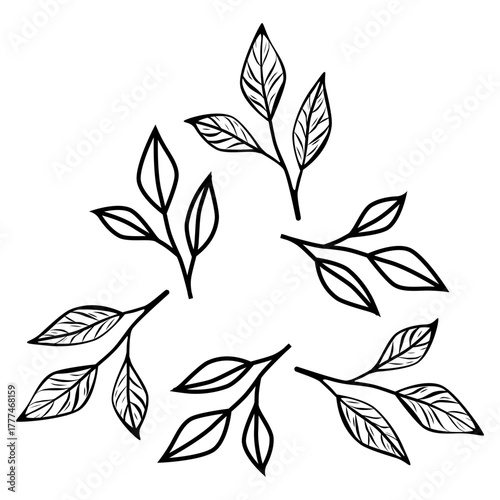 Minimalist line art illustration of coffee or tea branches arranged in a triangle shape. Perfect for cafe logo, packaging, branding, and organic product design.