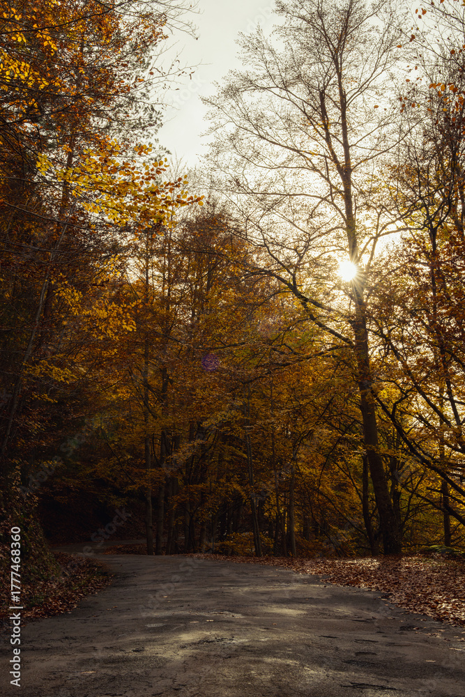 Obraz premium Autumn season in Route of the Waterfalls of Puente Ra, Sierra Cebollera Natural Park, Cameros, La Rioja, Spain