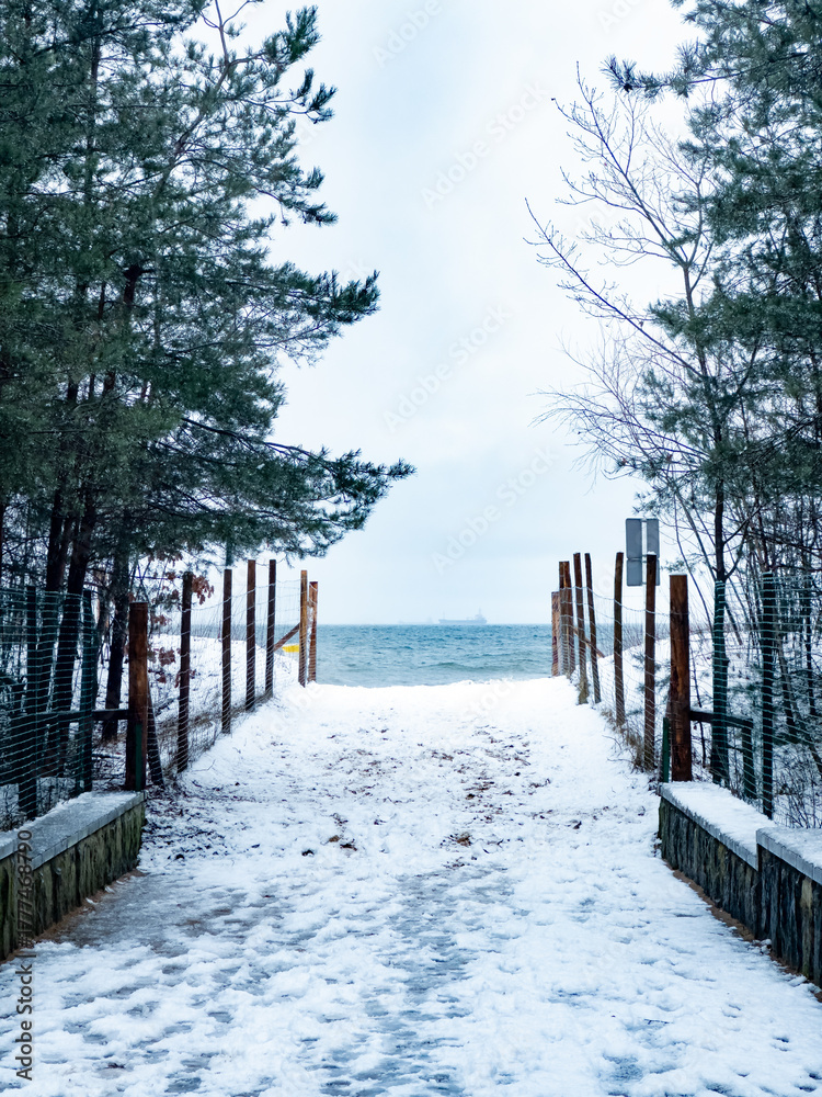 Fototapeta premium Snowy Path to the Sea on a Cold Day. Winter Beach.