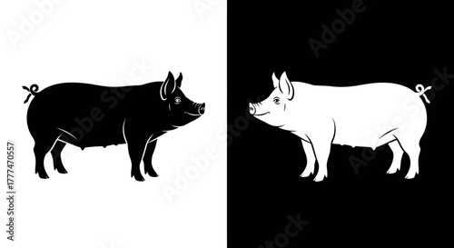 Black and White Pig Silhouettes Contrasting Design