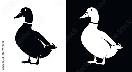 Minimalist Black and White Duck Vector Illustration