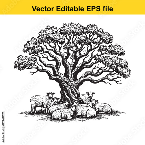 A flock of sheep resting peacefully under the shade of a large, old tree on a grassy field, black and white illustration
