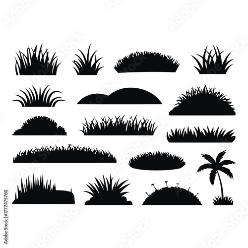 Cattail grass silhouette, black nature plant, marsh vegetation, wild reed bush, field element vector. Wild grass on the river bank. Swamp coastal plants