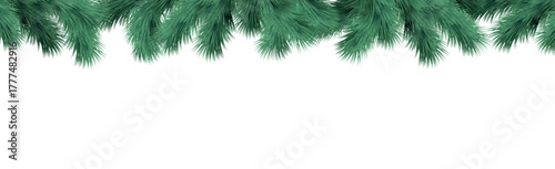 Realistic fir branches on a white background - Vector illustration