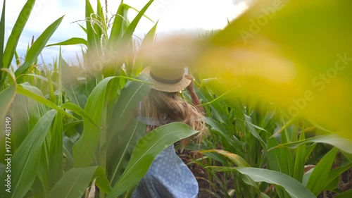 Follow to small girl in straw hat running through corn field at overcast day. Little kid in dress jogging over the green meadow. Cute child with long blonde hair crossing maize plantation. Slow motion
