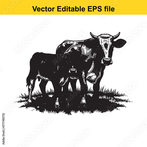 Black and white illustration of a cow and calf standing in grass, vector editable eps file