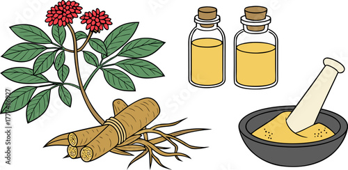 A stylized illustration showcasing various representations of ginseng. Two jars with cork stoppers each house a ginseng root, one is black and white, the other a warm, golden hue. A complete ginseng p