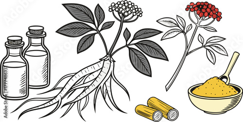 A stylized illustration showcasing various representations of ginseng. Two jars with cork stoppers each house a ginseng root, one is black and white, the other a warm, golden hue. A complete ginseng p