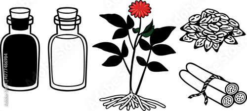 A stylized illustration showcasing various representations of ginseng. Two jars with cork stoppers each house a ginseng root, one is black and white, the other a warm, golden hue. A complete ginseng p