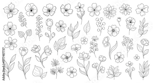 A collection of delicate hand-drawn botanical elements, featuring various outlined flowers, leaves, and plant forms in a monochrome style.