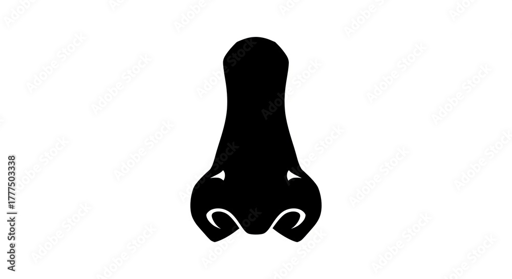 Fototapeta premium Nose silhouette graphic isolated white background