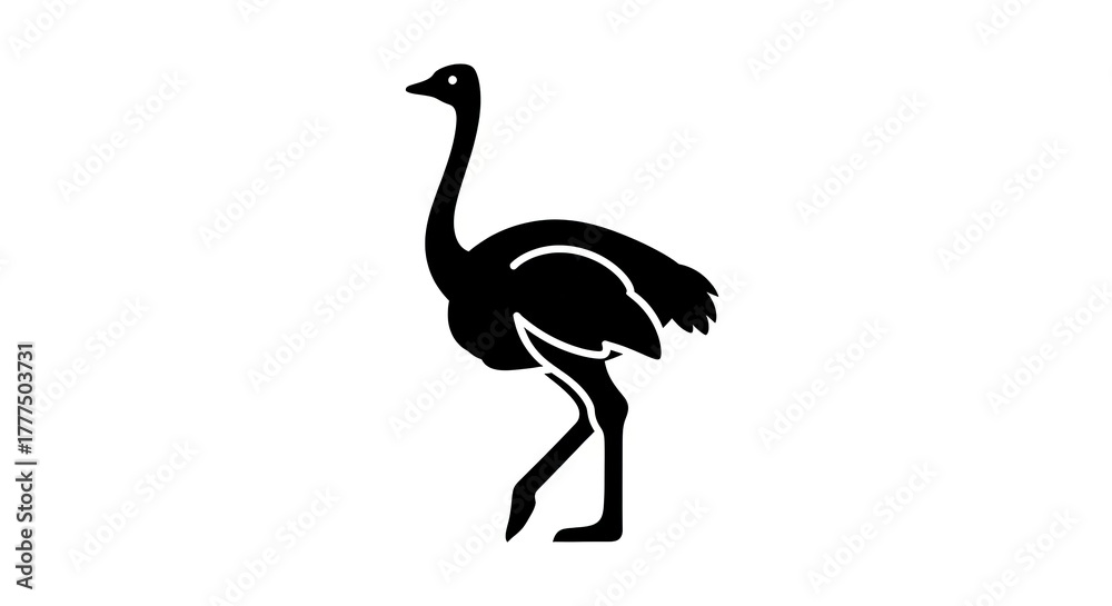 Fototapeta premium Ostrich silhouette isolated on white background