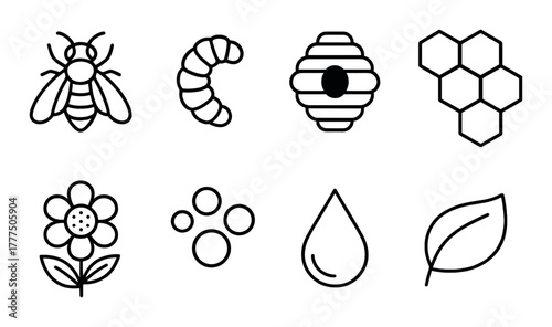 Monochrome bee icons: insect, hive, honeycomb, flower, leaf, raindrop