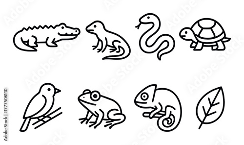 Outline icons of reptiles and amphibians including crocodile, lizard, snake, turtle, bird, frog, chameleon