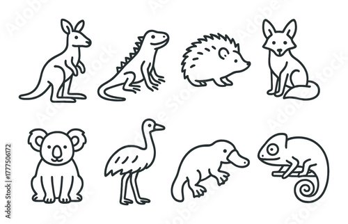Outlined animal icons set featuring koala kookaburra chameleon kangaroo platypus hedgehog