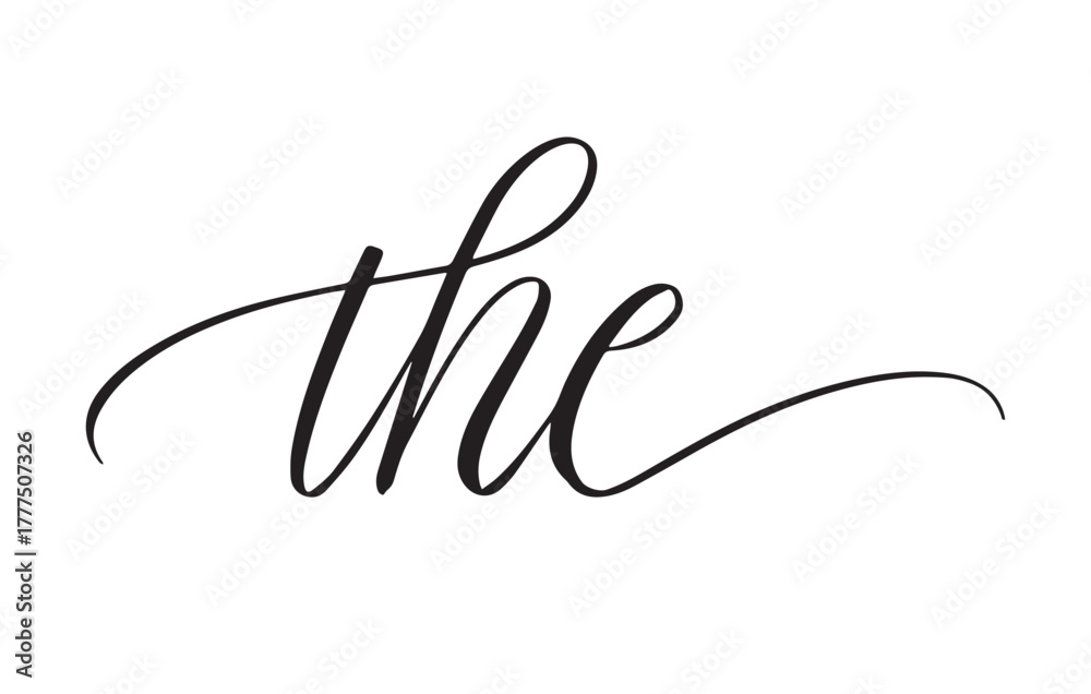 Fototapeta premium The Flourished Scroll Element Vector Design