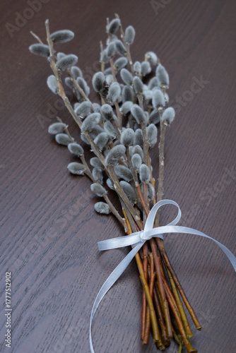 Willow twigs isolated on white. without shadow.