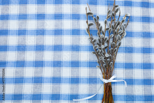 Willow branches, spring buds of a tree in bloom on a summer's eve