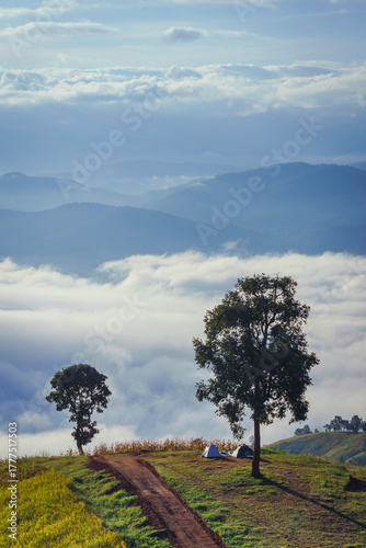 Beautiful scenery of the sea of mist in the morning at the Car Camping site with a viewpoint nature at Doi Ba Lu Kho Mountain in Mae Chaem, Chiang Mai, Thailand. Natural concept.