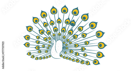 A white peacock displays its vibrant fanned tail feathers against a white background.