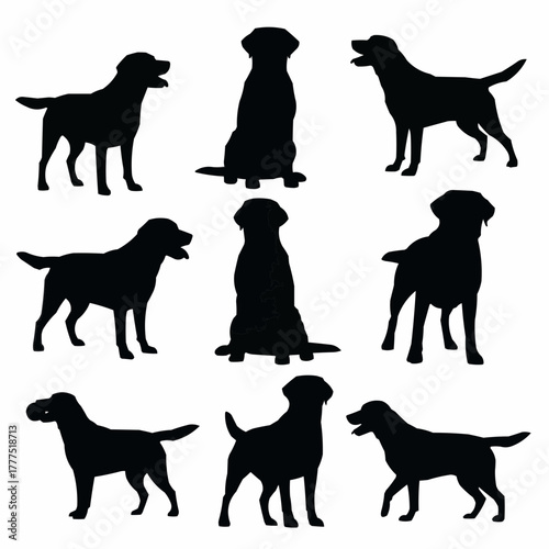 Labrador Retriever Dog Silhouette