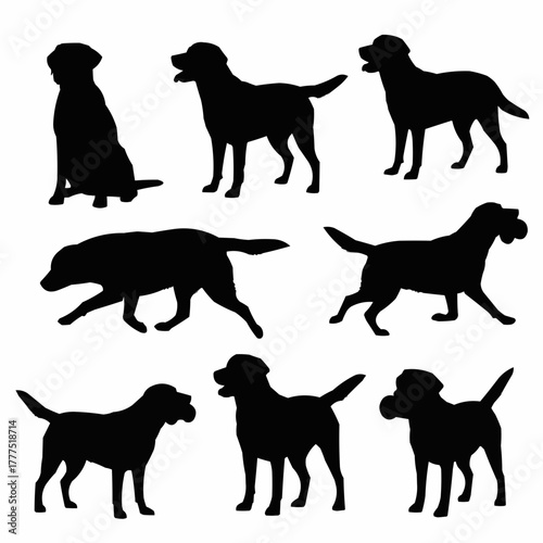 Labrador Retriever Dog Silhouette