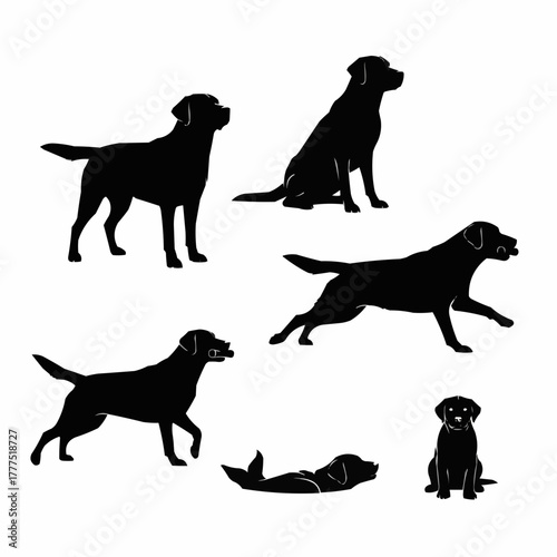 Labrador Retriever Dog Silhouette