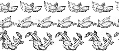 Vintage dragon fruit seamless border set. Decorative tropical fruits border with sliced pitaya. Outline food border design with ink drawing illustration of exotic fruits. Design for tapes and ribbons.