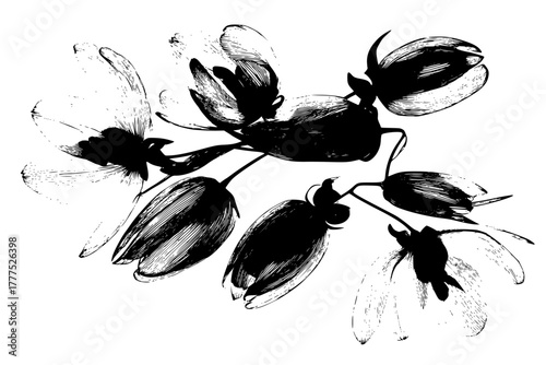 Whispers Nature's Gifts | Clean, isolated vector art for creative projects.