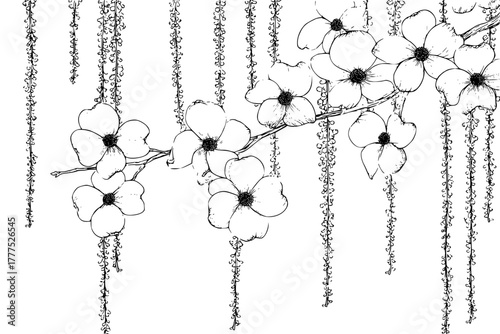 Ephemeral Elegance: Dogwood Blossoms Hazel Catkins | Clean, isolated vector art for creative projects.