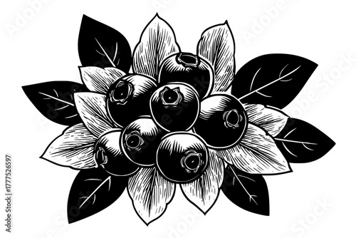 bouquet nature's bounty: berries leaves | Clean, isolated vector art for creative projects.