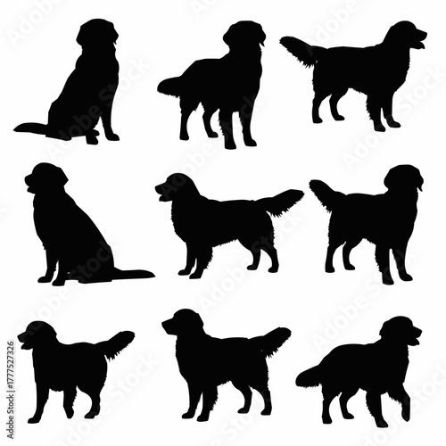 Golden Retriever Dog Silhouette
