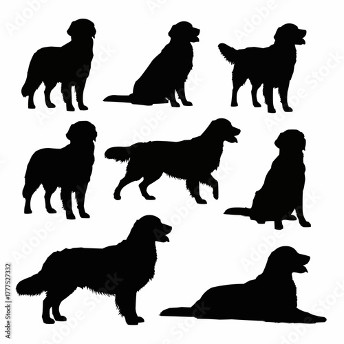 Golden Retriever Dog Silhouette