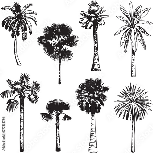 Assorted palm tree silhouettes collection