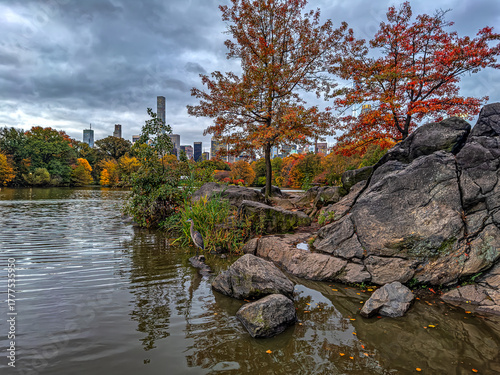 Central Park, New York City at the lake,autumn